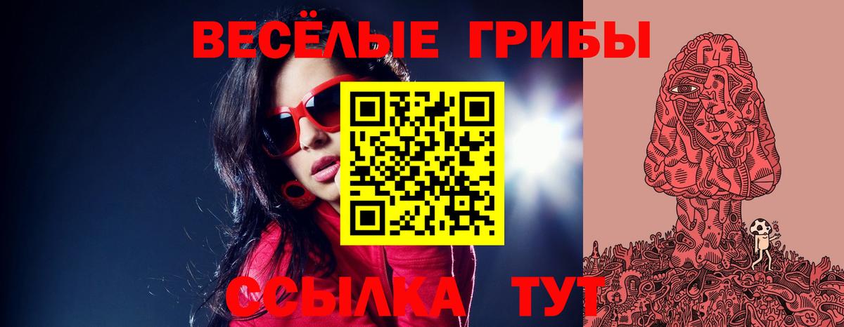 Галлюциногенные грибы Psilocybine cubensis Валуйки
