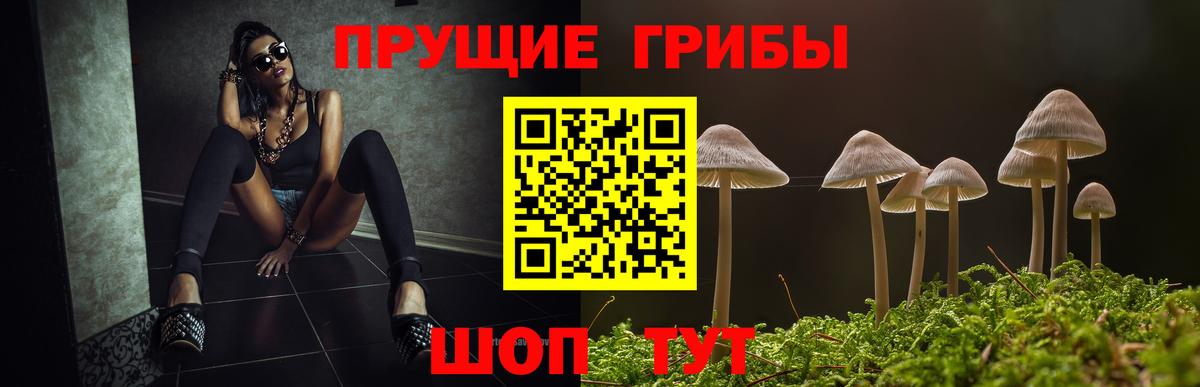 Валуйки  Галлюциногенные грибы мухоморы  Вход с VPN  Псилоцибиновые грибы Cubensis 